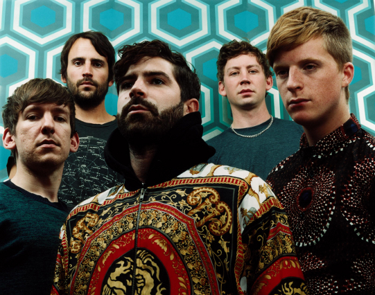 Foals