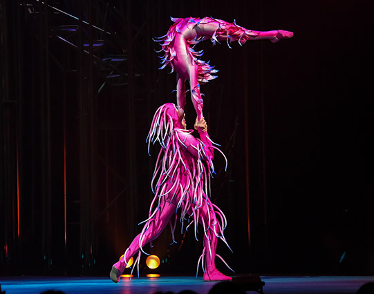 Cirque du Soleil – Varekai