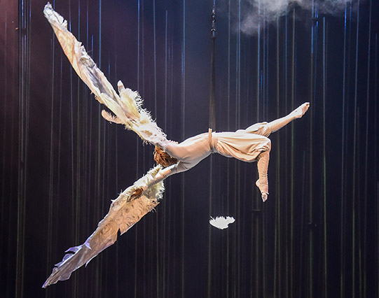 Cirque du Soleil – Varekai