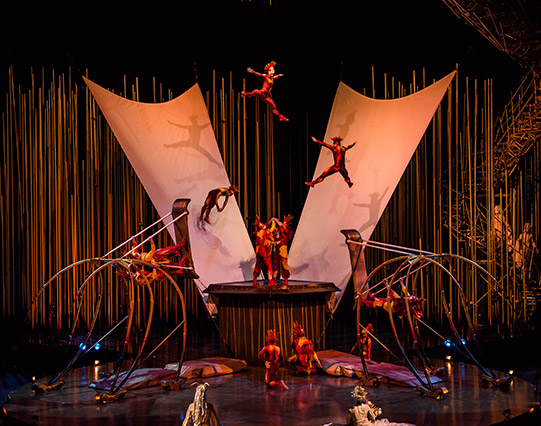 Cirque du Soleil – Varekai